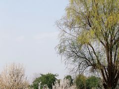 -国际非物质文化遗产博览园