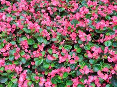 -复旦大学附属华山医院(江苏路分部)