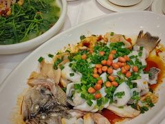 -宝园酒家(美林M·LIVE天地东座店)