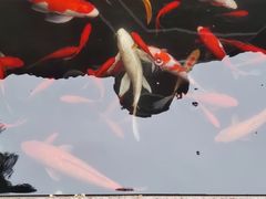 -径山寺