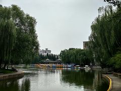 -团结湖公园