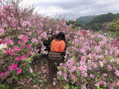 -广州市石门国家森林公园
