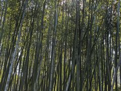 -汇龙潭