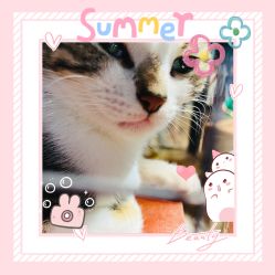 -酷嗒动物文化乐园(cutezoo西溪乐天城店)