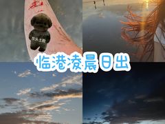 -南汇新城海滩