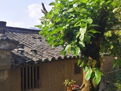 -杨家堂村