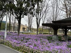 -白塘生态植物园