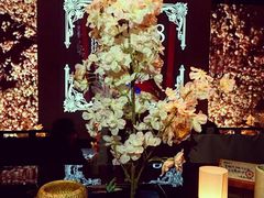 店内布置-地球美食剧场