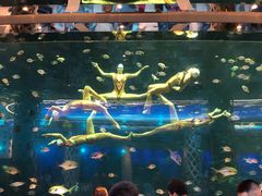 -瑞德姆美人鱼海底演艺主题餐厅(亚龙湾店)