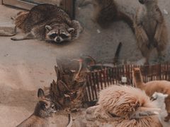 -呀路古热带植物园