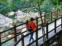 -广州白江湖森林公园