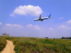 -空港花田景区