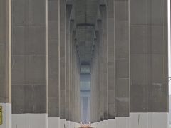 -中澳友谊花园