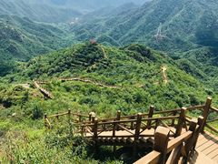 -大岭沟猕猴桃谷风景区