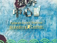 -广东惠东海龟国家级自然保护区