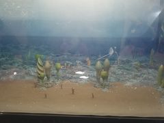-辽宁古生物博物馆