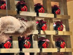 -泥糊破店小酒馆·团建聚餐(南京西路店)