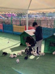 -萌宠亲子动物乐园(槐房万达店)