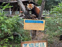 -柳州市动物园