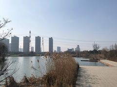-九里河湿地公园