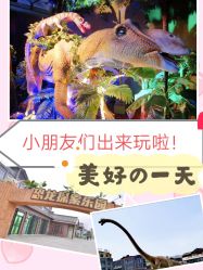 -恐龙探索乐园(磁器口店)