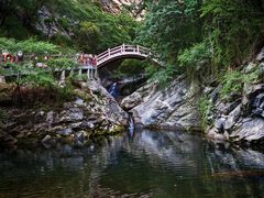 -少华山国家森林公园