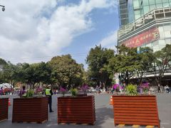 -越秀西湖花市(广州城市广场花卉店)