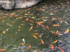 -珠海圆明新园