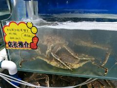 -蚝专家(北滘店)