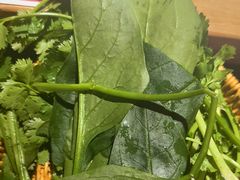 -东道煮牛肉火锅(东盛大街店)