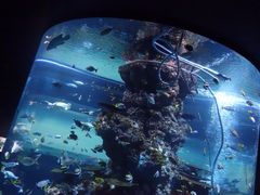-新加坡海洋生态馆