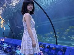 -重庆欢乐海底世界
