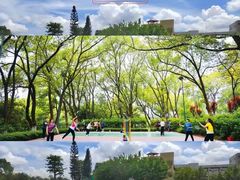 -石狮市游泳馆(泰禾店)