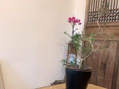 -云来集茶舍(国子监街店)