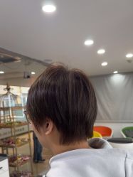 -镁连社·美联社