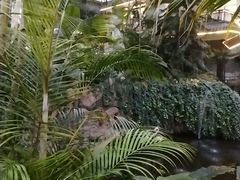 -忆江南·生态餐饮宴会酒店