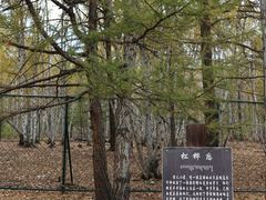 -哈乌尔河