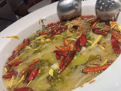 -太二酸菜鱼(石家庄万象城店)