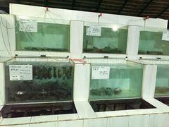 -海盗餐厅