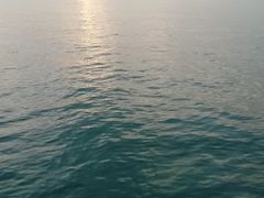 -演武大桥观景平台