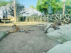 -常州淹城野生动物世界
