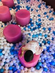 -幻贝家儿童乐园(苏州中心店)