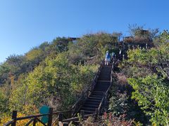 -大岭沟猕猴桃谷风景区