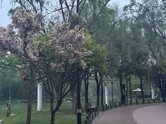 -西安曲江寒窑遗址公园