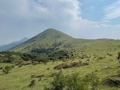 -大姆山草场