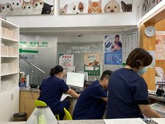 -爱侣宠医·鹦鹉专科·小型哺乳类·异宠专科(灵石路店)