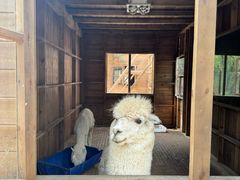 -南戴河国际娱乐中心