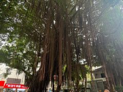-福州开元寺