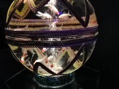 -上海环球金融中心云端足球盛典