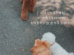 -时尚天河商业广场